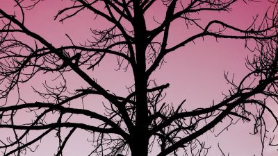 Spökhistoria: Rosa händer